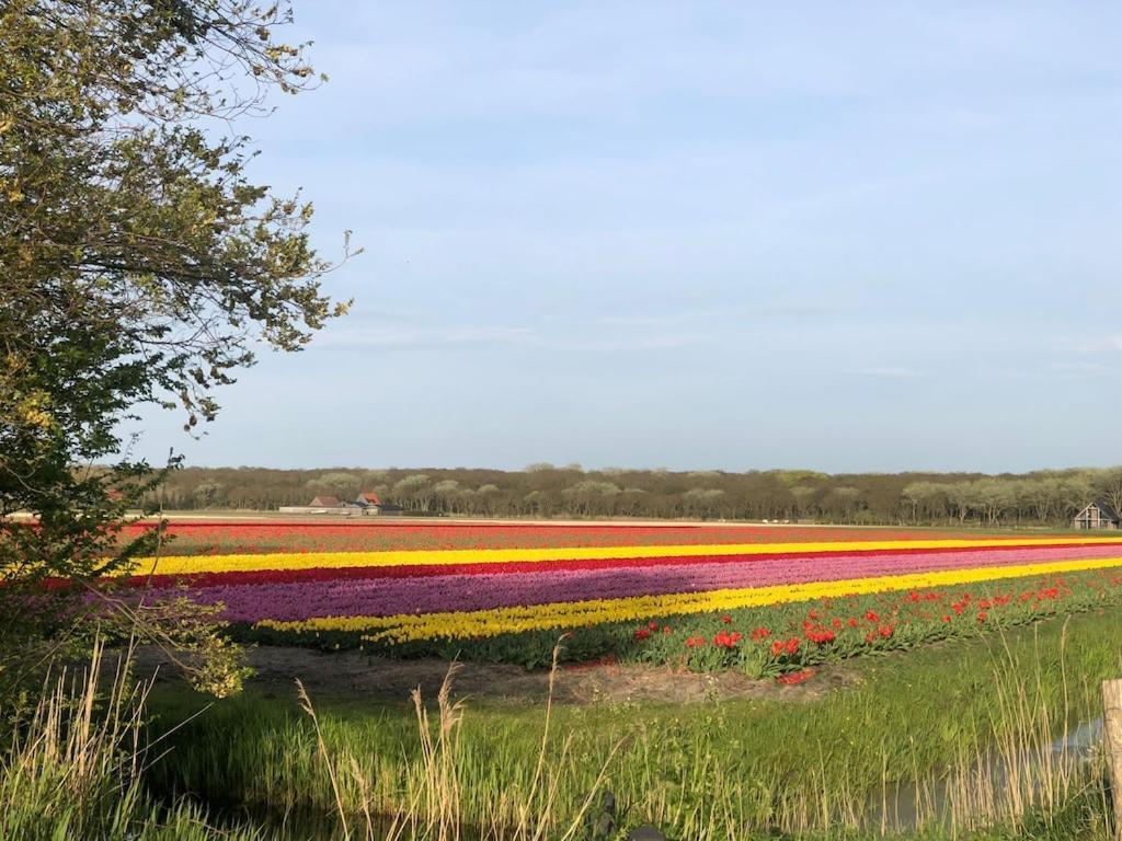Meno Mosso Sint Maartensvlotbrug Exterior foto